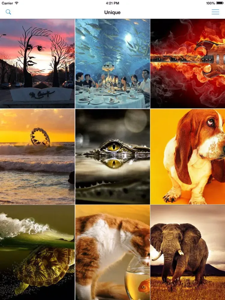 Wallpapers & Backgrounds Pro - Cool HD Retina Home Screen & Lock Screen Photos for iOS 8, iOS 7, iOS 6, iPhone, iPod & iPad iPad 應用截圖