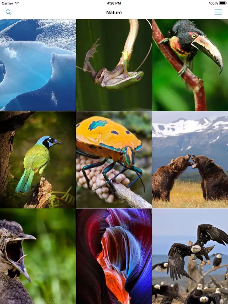 Wallpapers & Backgrounds Pro - Cool HD Retina Home Screen & Lock Screen Photos for iOS 8, iOS 7, iOS 6, iPhone, iPod & iPad iPad 應用截圖