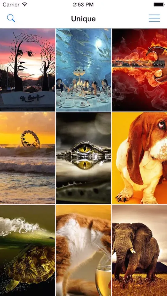 Wallpapers & Backgrounds Pro - Cool HD Retina Home Screen & Lock Screen Photos for iOS 8, iOS 7, iOS 6, iPhone, iPod & iPad應用截圖