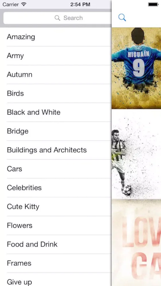 Wallpapers & Backgrounds Pro - Cool HD Retina Home Screen & Lock Screen Photos for iOS 8, iOS 7, iOS 6, iPhone, iPod & iPad應用截圖