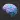 BIOLOGY E THEORIES