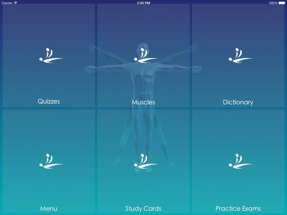 MASSAGE EXAM EXCELLENCE iPad 應用截圖