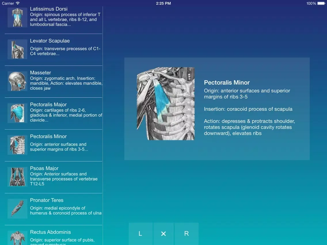MASSAGE EXAM EXCELLENCE iPad 應用截圖