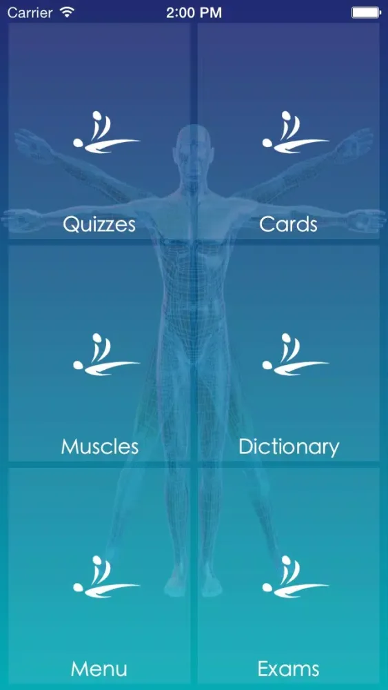 MASSAGE EXAM EXCELLENCE應用截圖