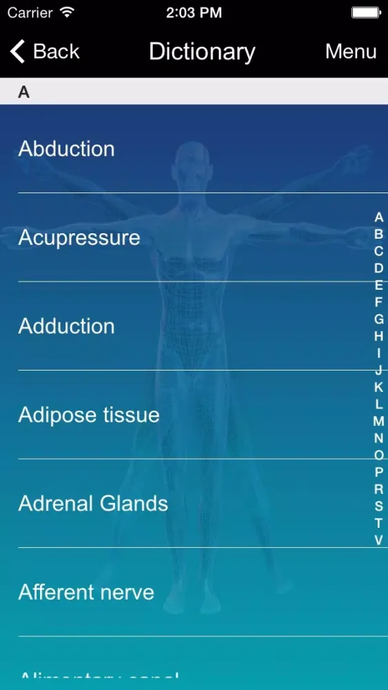 MASSAGE EXAM EXCELLENCE應用截圖
