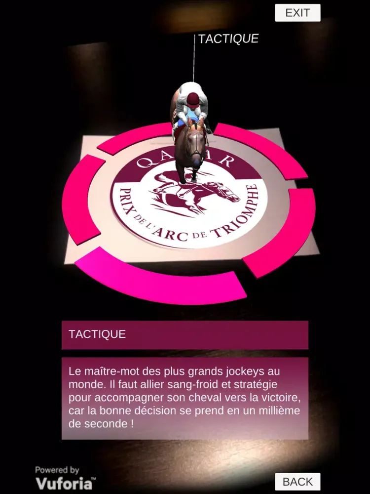 تصاویر Qatar Prix de l'Arc de Triomphe 2016 iPad 