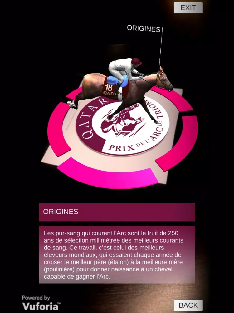 تصاویر Qatar Prix de l'Arc de Triomphe 2016 iPad 