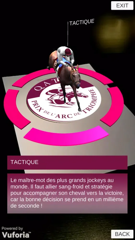 تصاویر Qatar Prix de l'Arc de Triomphe 2016