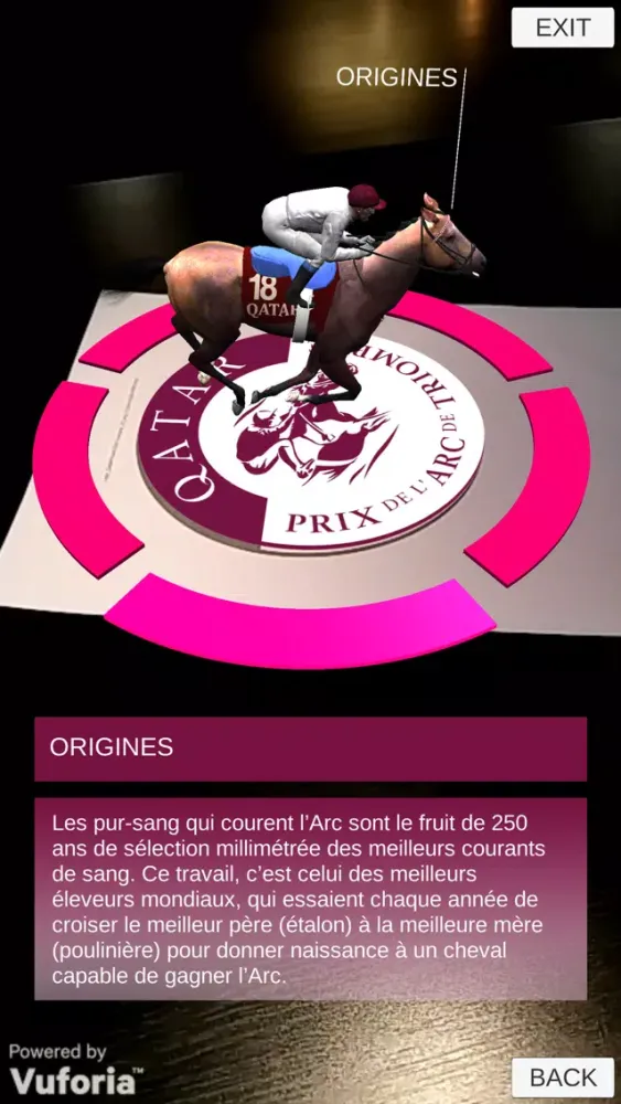 تصاویر Qatar Prix de l'Arc de Triomphe 2016