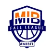 Metro Indy Basketball