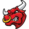 Brevard Bulls
