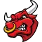 Brevard Bulls