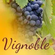 Vignoble Vignoble