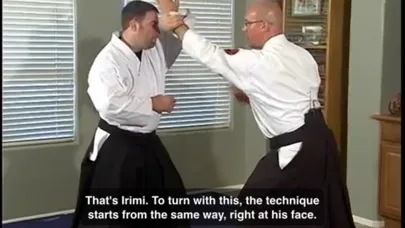 Aikido Master Class স্ক্রিনশট
