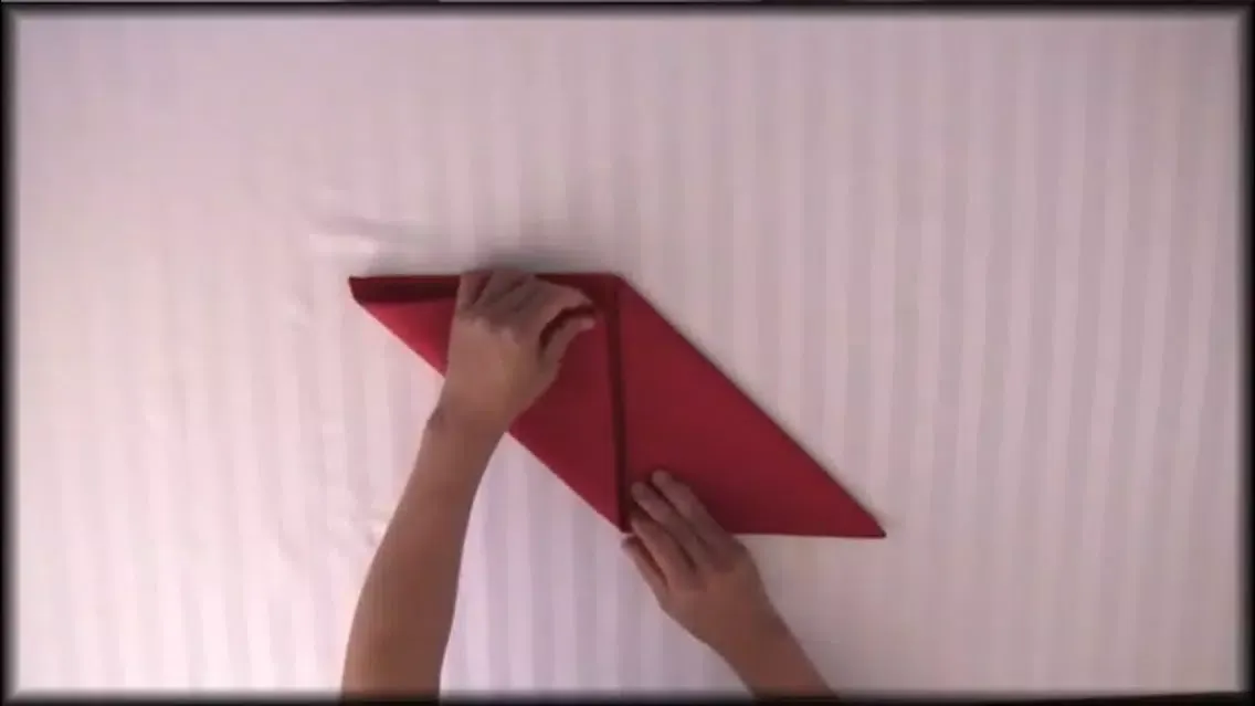 How To Fold Napkins应用截图