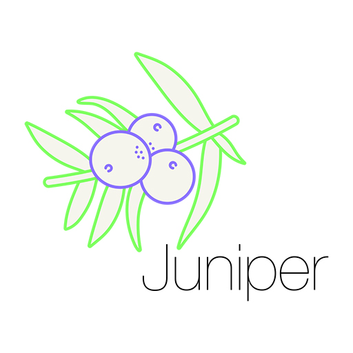 Juniper