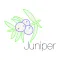 Juniper