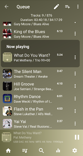 USB Audio Player PRO的應用截圖4