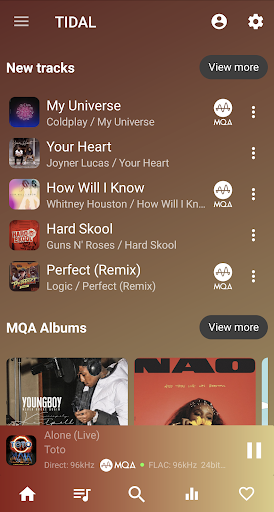 USB Audio Player PRO的應用截圖5