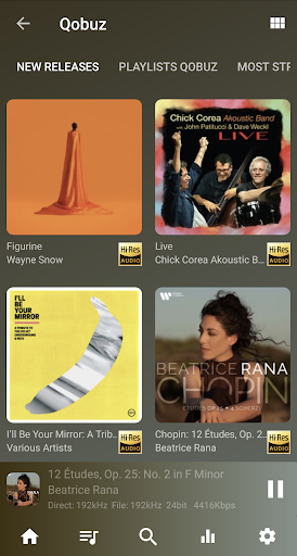 USB Audio Player PRO的應用截圖6