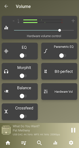 USB Audio Player PRO的應用截圖7