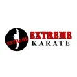 The Extreme Karate