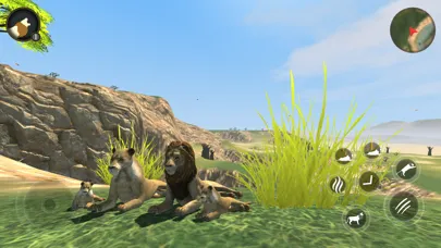 Zrzuty ekranu Wild Lion Survival Simulator