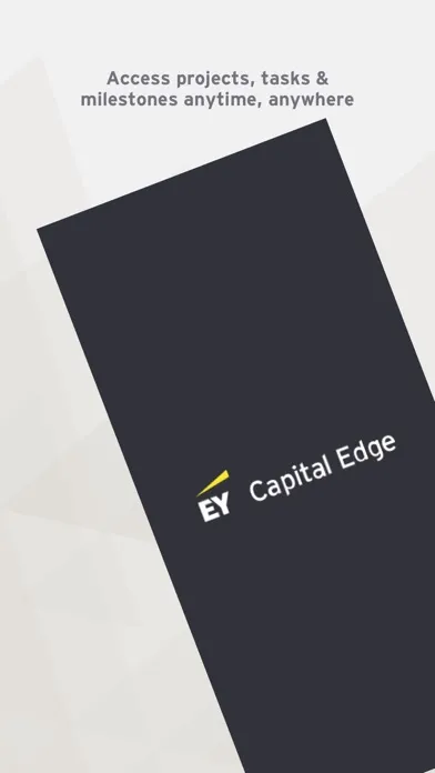EY Capital Edge Ekran Görüntüleri