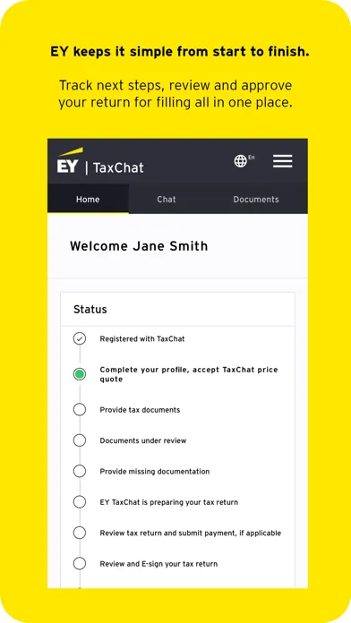 Tangkapan layar EY TaxChat