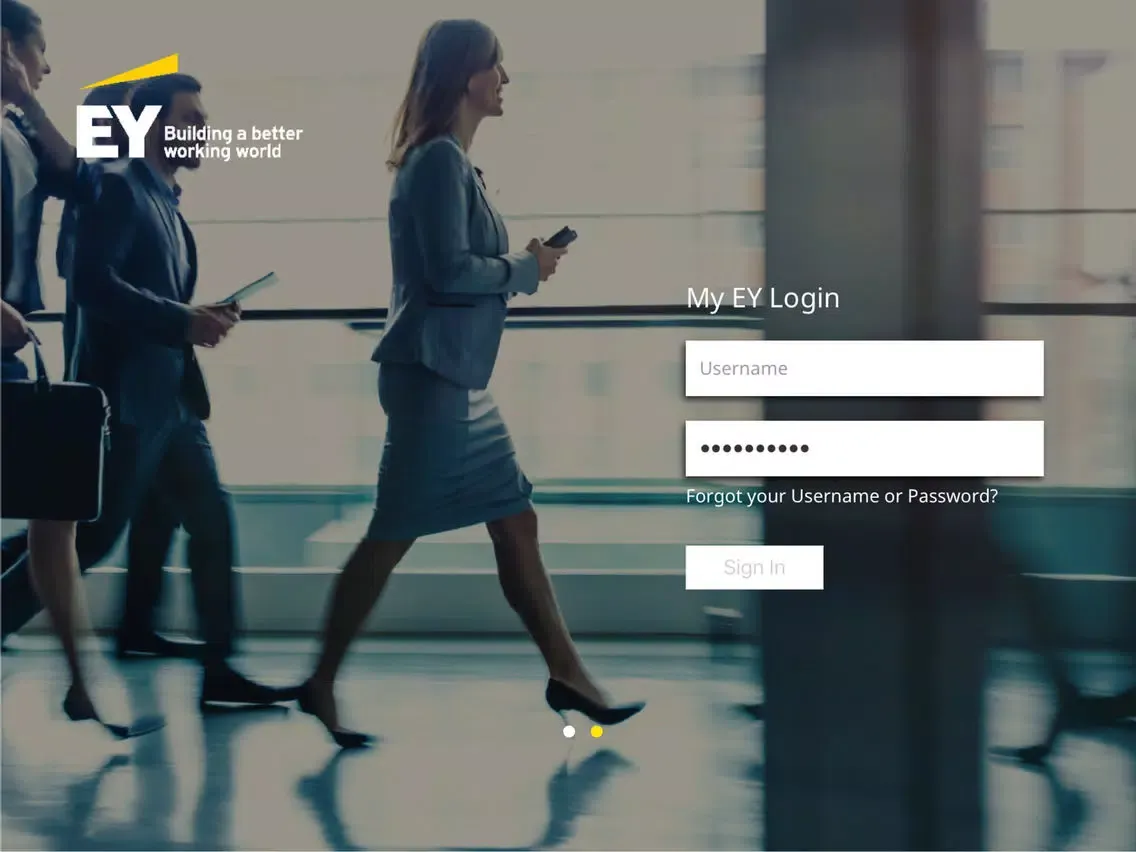 EY Digital Direct iPad  Screenshots