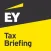EY Briefing