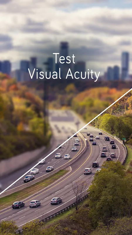 Visual Acuity Test Screenshots