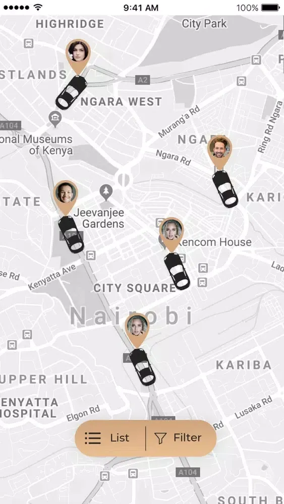 Tangkapan skrin DriveIt Car Rentals