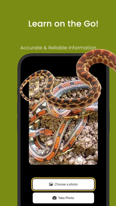 ภาพหน้าจอของ Snake ID - reptile identifier