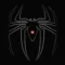 Spider ID - insects identifier