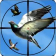 Flying Birds Hunting Game 3D