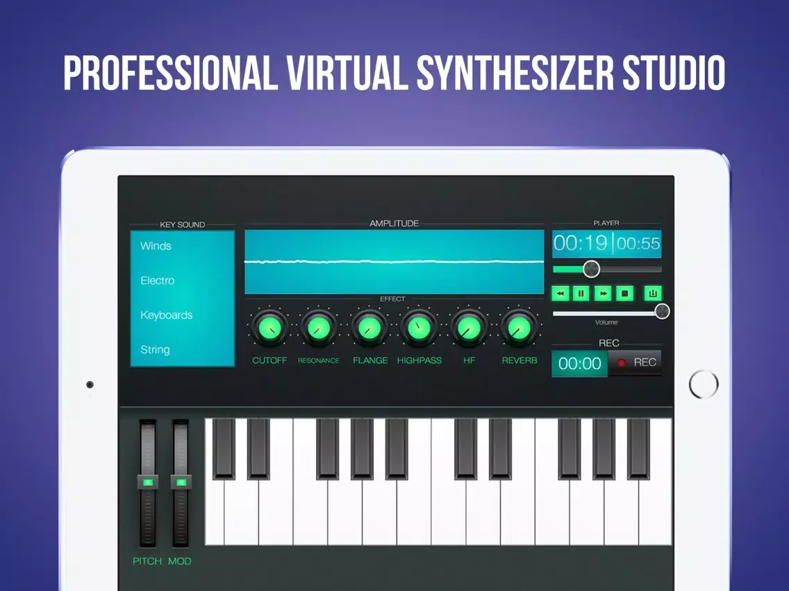 Ảnh chụp màn hình của Synth Station Keyboard iPad 