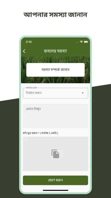 Rice Profile Screenshots