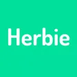 Match Herbie