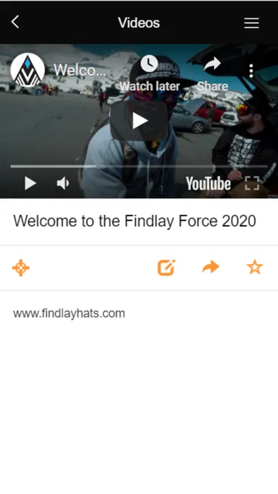 Zrzuty ekranu Findlay Force