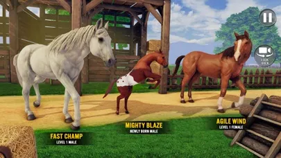 Captures d'écran de My Stable Horse Racing Games