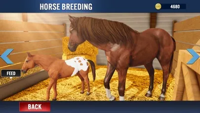 Captures d'écran de My Stable Horse Racing Games