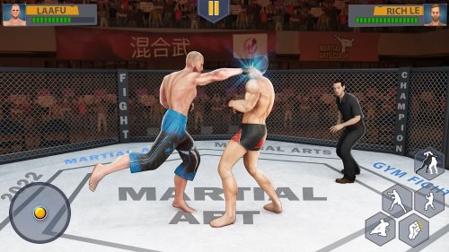 Martial Arts: Fighting Games-screenshot-2