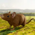Mouse Simulator- Family Life
