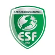 Elan Sorinieres