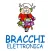 Bracchi Elettronica
