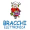 Bracchi Elettronica