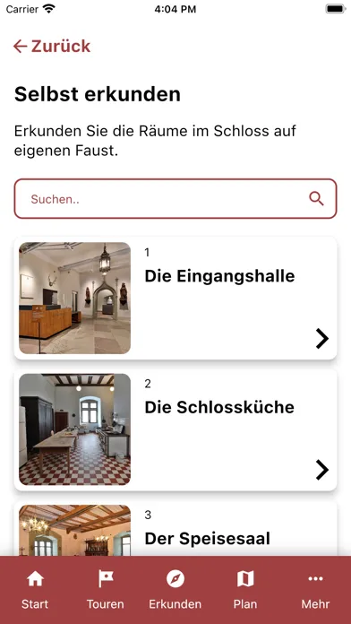 Graf-Luxburg-Museum Screenshots