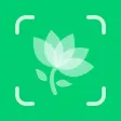 Plant Identifier - Plant ID