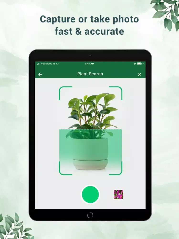 Plant Identifier - Plant ID iPad  स्क्रीनशॉट